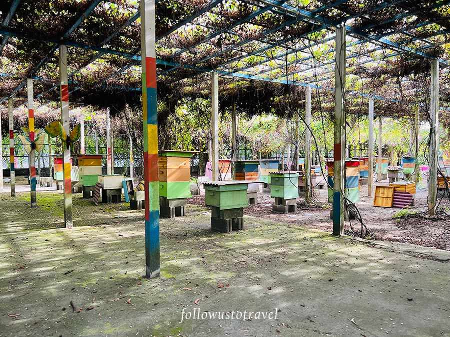養蜂場
