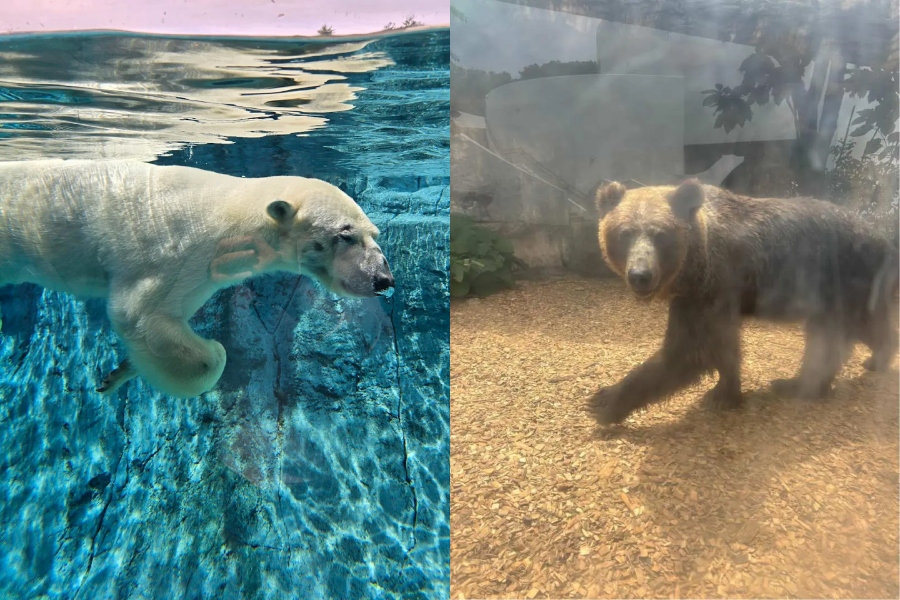 圓山動物園