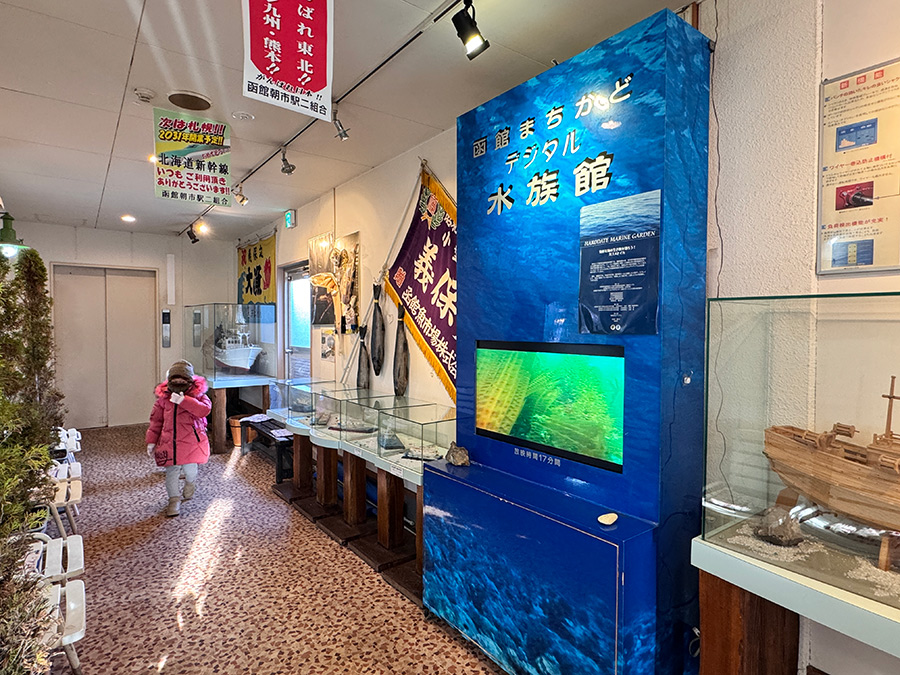 迷你水族館