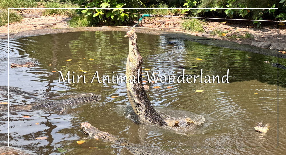 美里動物奇幻樂園