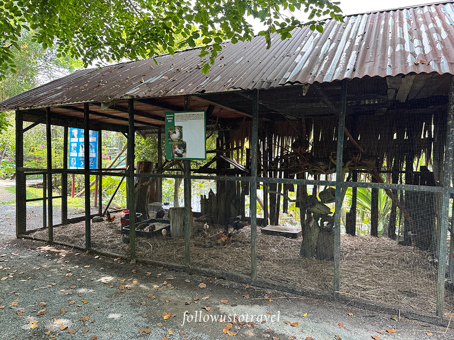 迷你動物園