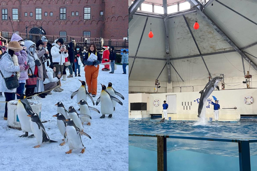 海洋公園